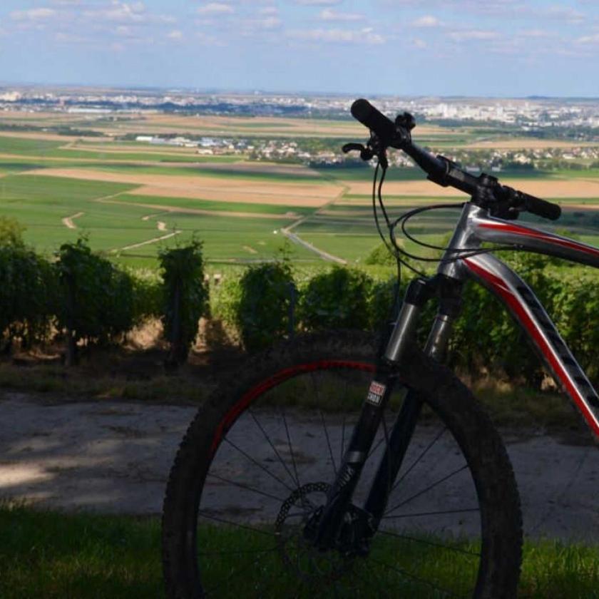 Gite Saint Martin Pargny-les-Reims 외부 사진